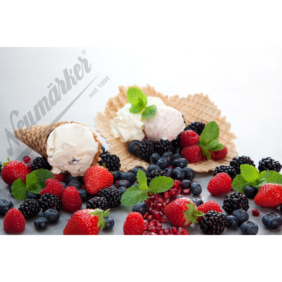 Neumärker Waffeleisen Thermocook® inkl. Eiswaffel Wechselplatten