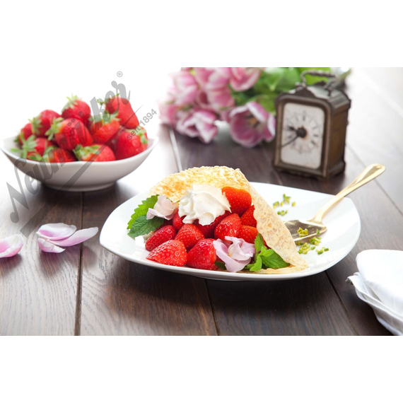 Neumärker Crêpeseisen Thermocook® inkl. Crêpes Wechselplatten
