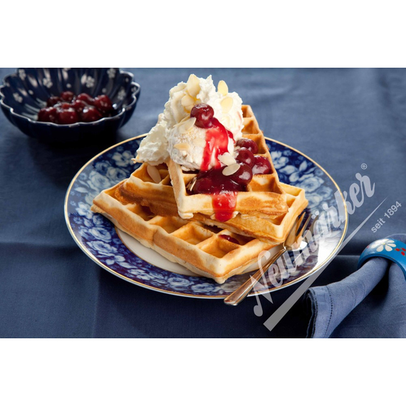 Neumärker Brüsseler Waffel Wechselplatten für Thermocook® (Gusseisen antihaftbeschichtet)