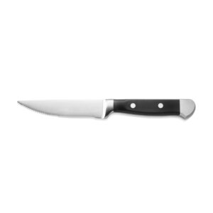 Was Germany Steakmesser Set, mit POM Kunststoffgriff, 25,5 cm, Set á 6 Stück, Polyoxymethylen, Chromstahl 13/0