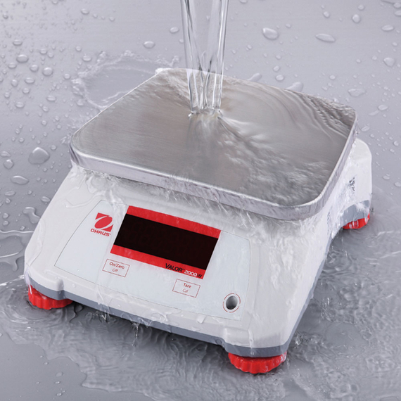 Wasserdichte Premium-Waage, Kapazität 6 kg, Teilung 2 g, 256x280x121 mm (BxTxH)