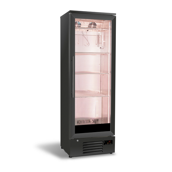Combisteel Dry Age Schrank 293L