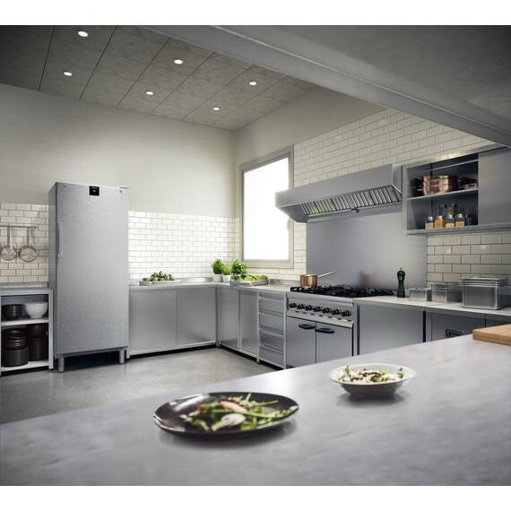Liebherr FFFCvg 6501 Perfection Gefrierschrank mit NoFrost