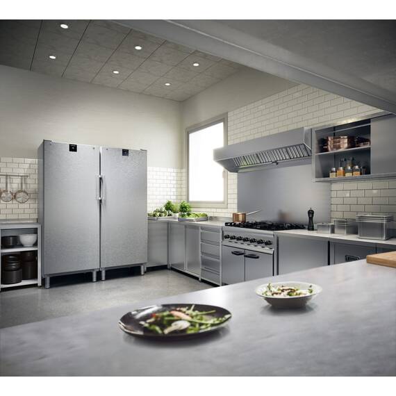 Liebherr FFFCvg 6501 Perfection Gefrierschrank mit NoFrost
