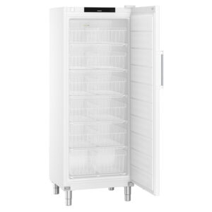 Liebherr FFFsg 6501 Performance Gefrierschrank mit SmartFrost