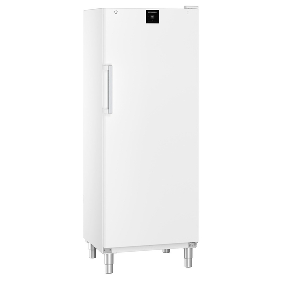 Liebherr FFFsg 6501 Performance SmartFrost Gefrierschrank mit Rollen