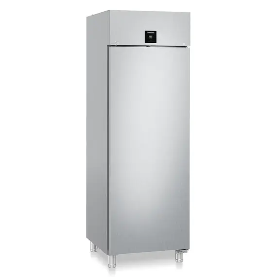 Liebherr FFPSvg 6501 Performance Gefrierschrank GN 2/1 mit Umluftkühlung