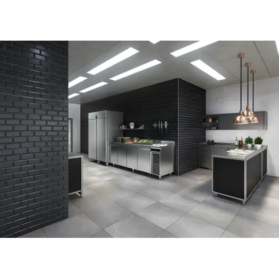 Liebherr FRPSvh 1402 Perfection Kühlschrank GN 2/1 mit Umluftkühlung