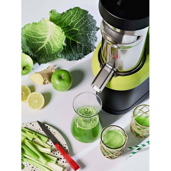Santos Cold Press Slow Juicer # 65