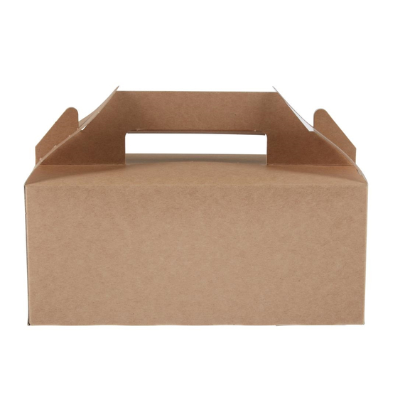 Colpac Biologisch abbaubare Trageboxen klein (125 Stück)