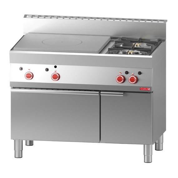 Gastro M Gasherd mit Glühplatte und Ofen 65/110 TPFG