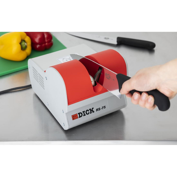 Dick RS-75 Nachschleifmaschine