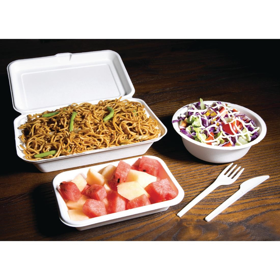 Fiesta Compostable kompostierbare Zuckerrohr Klappdeckelbehälter 24,8cm (250 Stück)