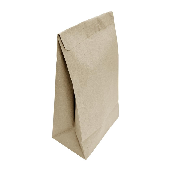 Fiesta Recycelbare Versiegelbare Takeaway Beutel Mittel (250 Stück)