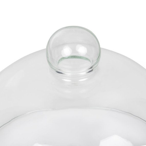 Speiseglocke aus Glas 21cm