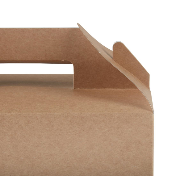 Colpac Biologisch abbaubare Trageboxen klein (125 Stück)