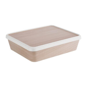 APS Bentobox 300x250mm