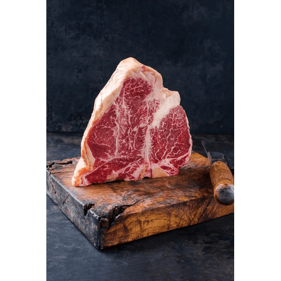 Combisteel Dry Age Schrank 138L